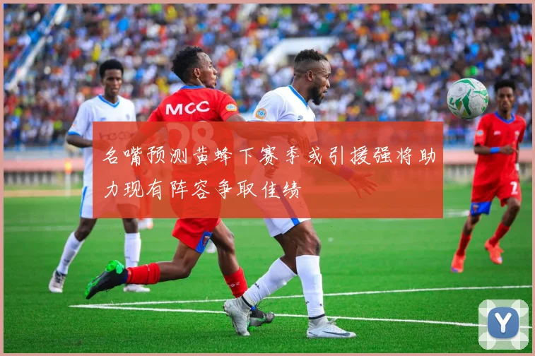 名嘴预测黄蜂下赛季或引援强将助力现有阵容争取佳绩